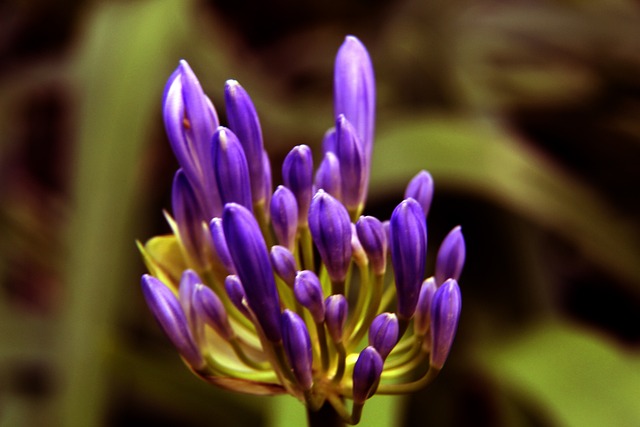 线上颁奖对 线上颁奖对