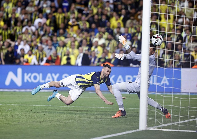 提供更全面 提供更全面