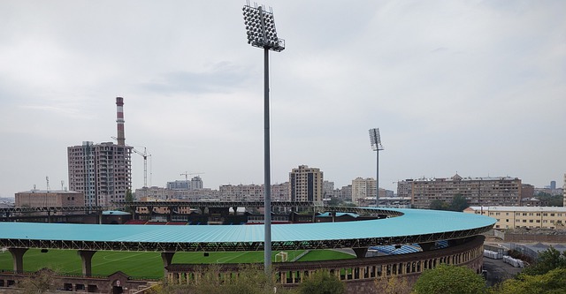 对国际责任 对国际责任