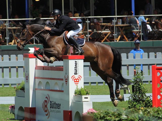 奔跑江淮 奔跑江淮