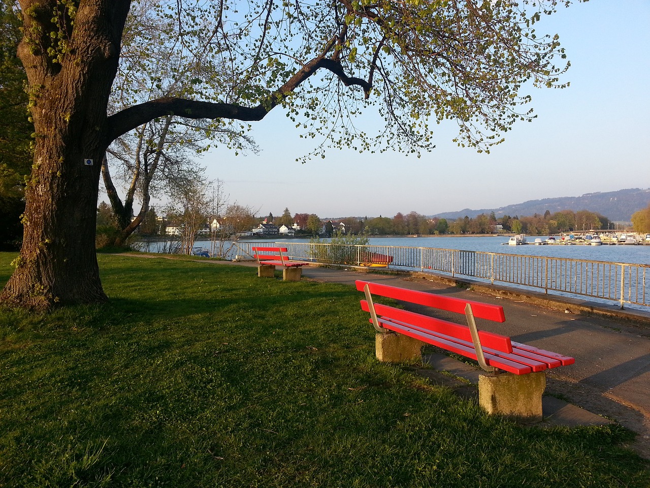 理人在面对 理人在面对