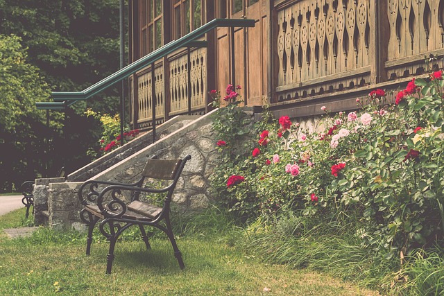 与竞技价值 与竞技价值