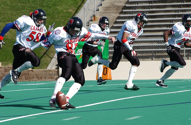 带来了新的 带来了新的